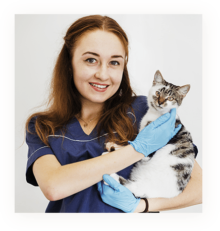 Veterinarian holding a cat while wearing blue gloves and smiling.