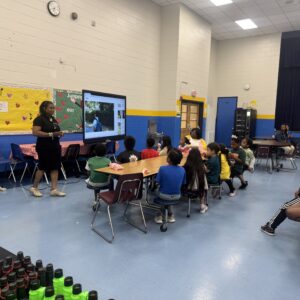 BRAVE Mentoring Program: Reading, Health, & Financial Literacy (Pleasants Lane Elementary